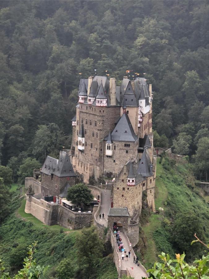 Am Apfelbaum, Ein Ferienhaus Zwischen Rhein Und Mosel カステラウン エクステリア 写真