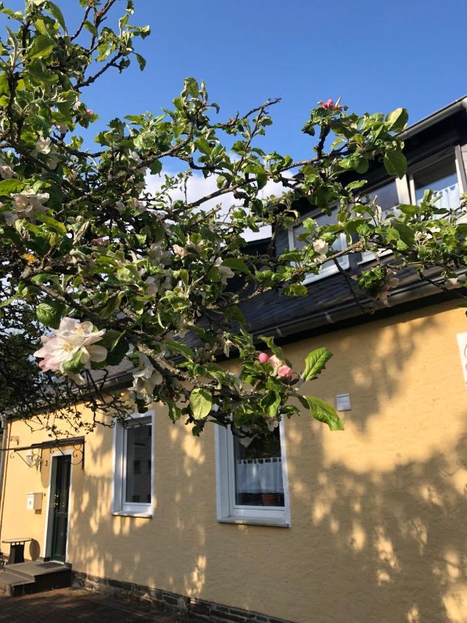 Am Apfelbaum, Ein Ferienhaus Zwischen Rhein Und Mosel カステラウン エクステリア 写真