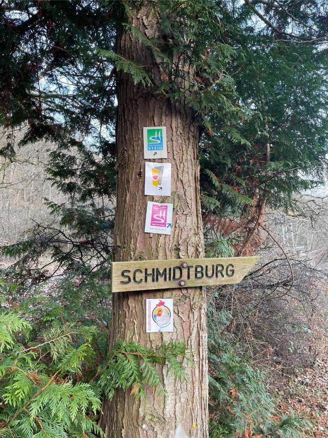 Am Apfelbaum, Ein Ferienhaus Zwischen Rhein Und Mosel カステラウン エクステリア 写真