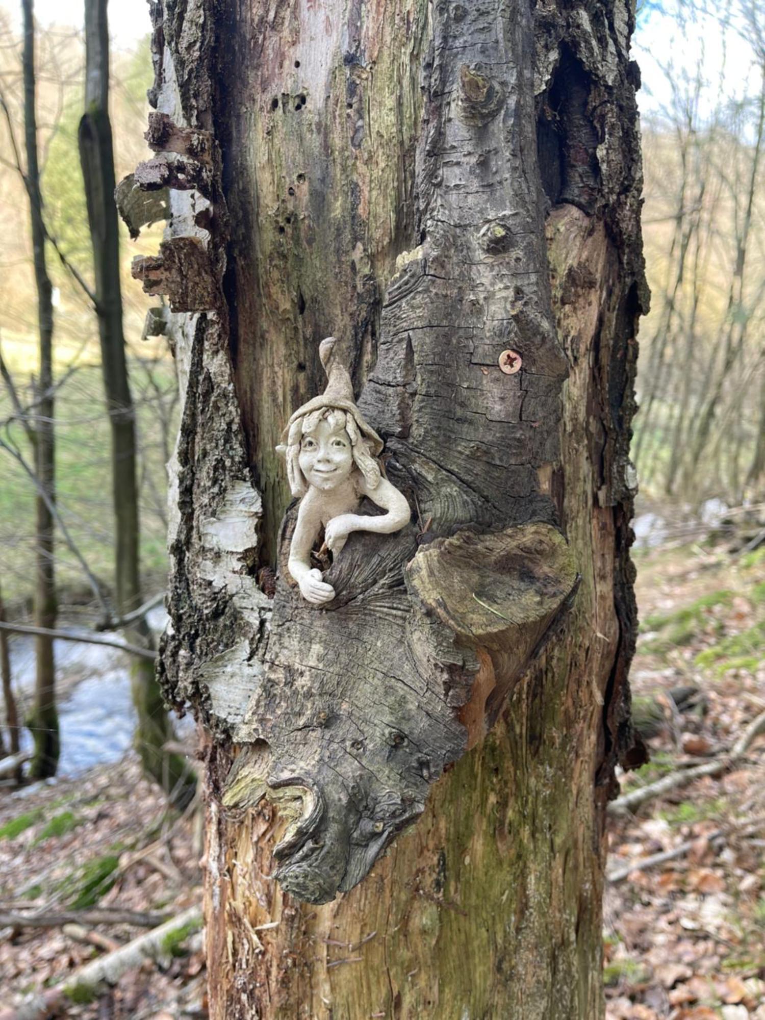 Am Apfelbaum, Ein Ferienhaus Zwischen Rhein Und Mosel カステラウン エクステリア 写真