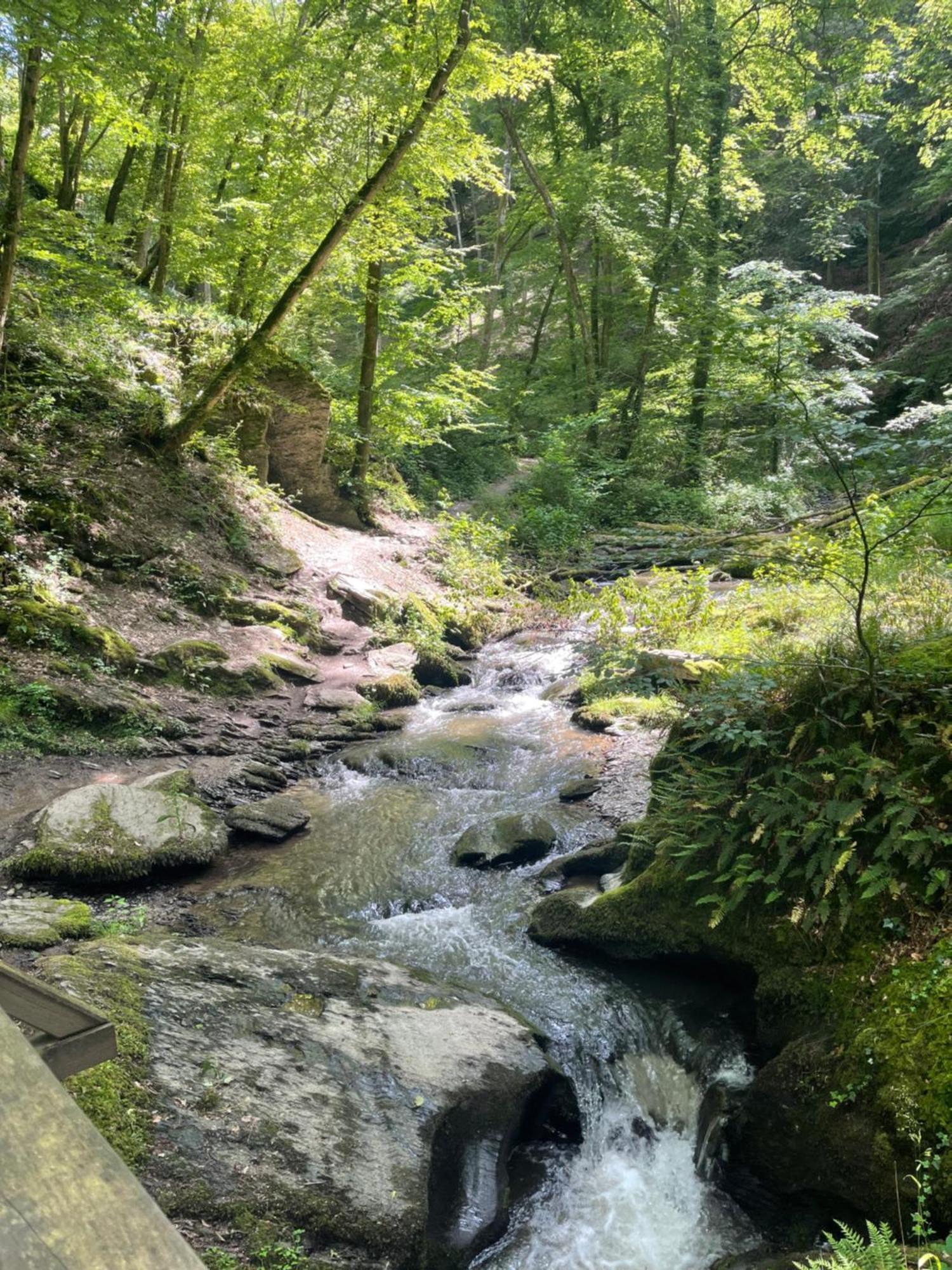Am Apfelbaum, Ein Ferienhaus Zwischen Rhein Und Mosel カステラウン エクステリア 写真