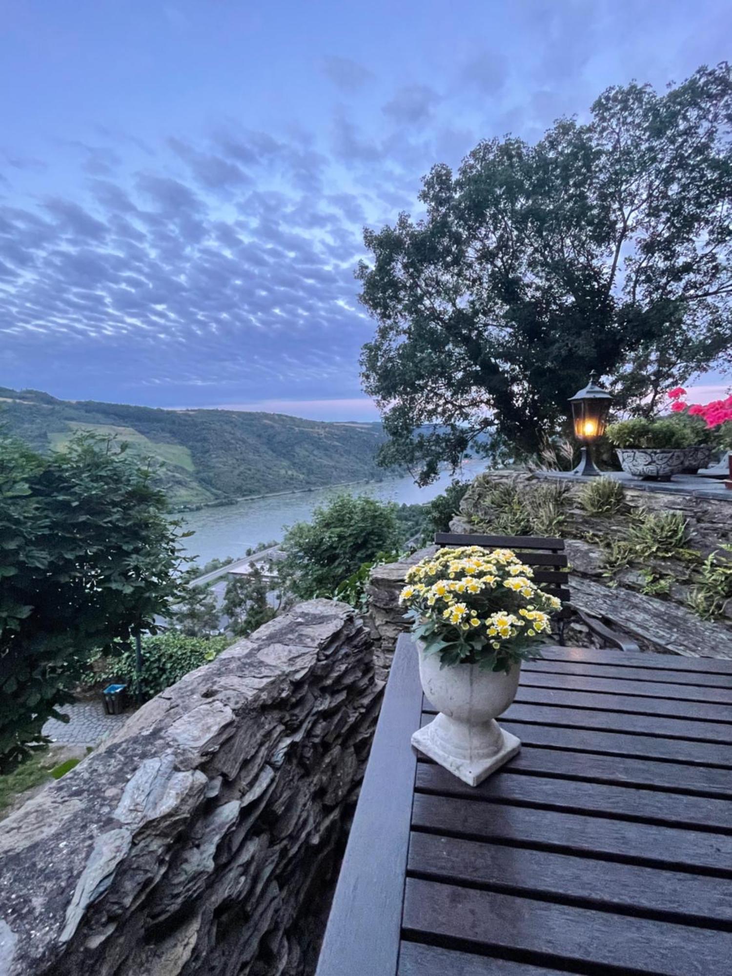 Am Apfelbaum, Ein Ferienhaus Zwischen Rhein Und Mosel カステラウン エクステリア 写真